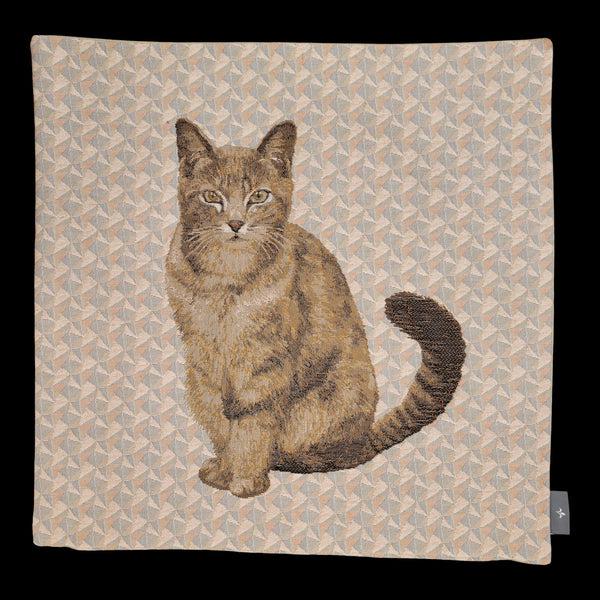 French Pillow -Cat Orange