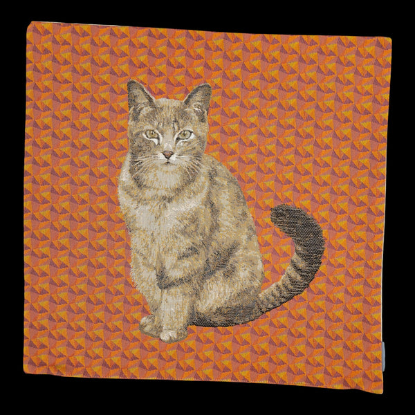 French Pillow -Cat Orange