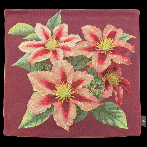 French Pillow Clematis