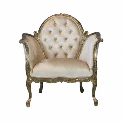 Louis XV Bordeaux Arm Chair - Silver